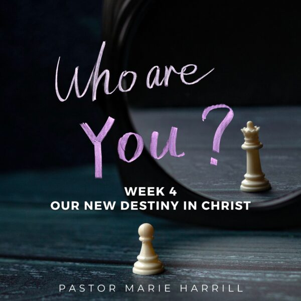 who are you 01