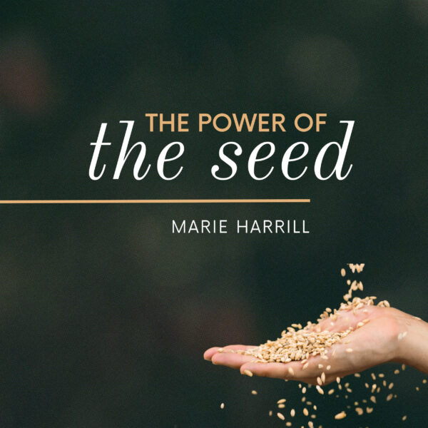 the power of the seed 2500x2500
