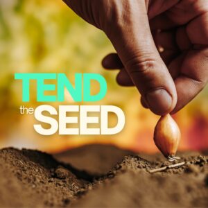 Tend the Seed (Part 2) - Pastor Marie Harrill