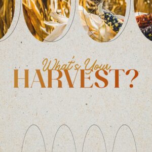 What’s Your Harvest? - Pastor Marie Harrill